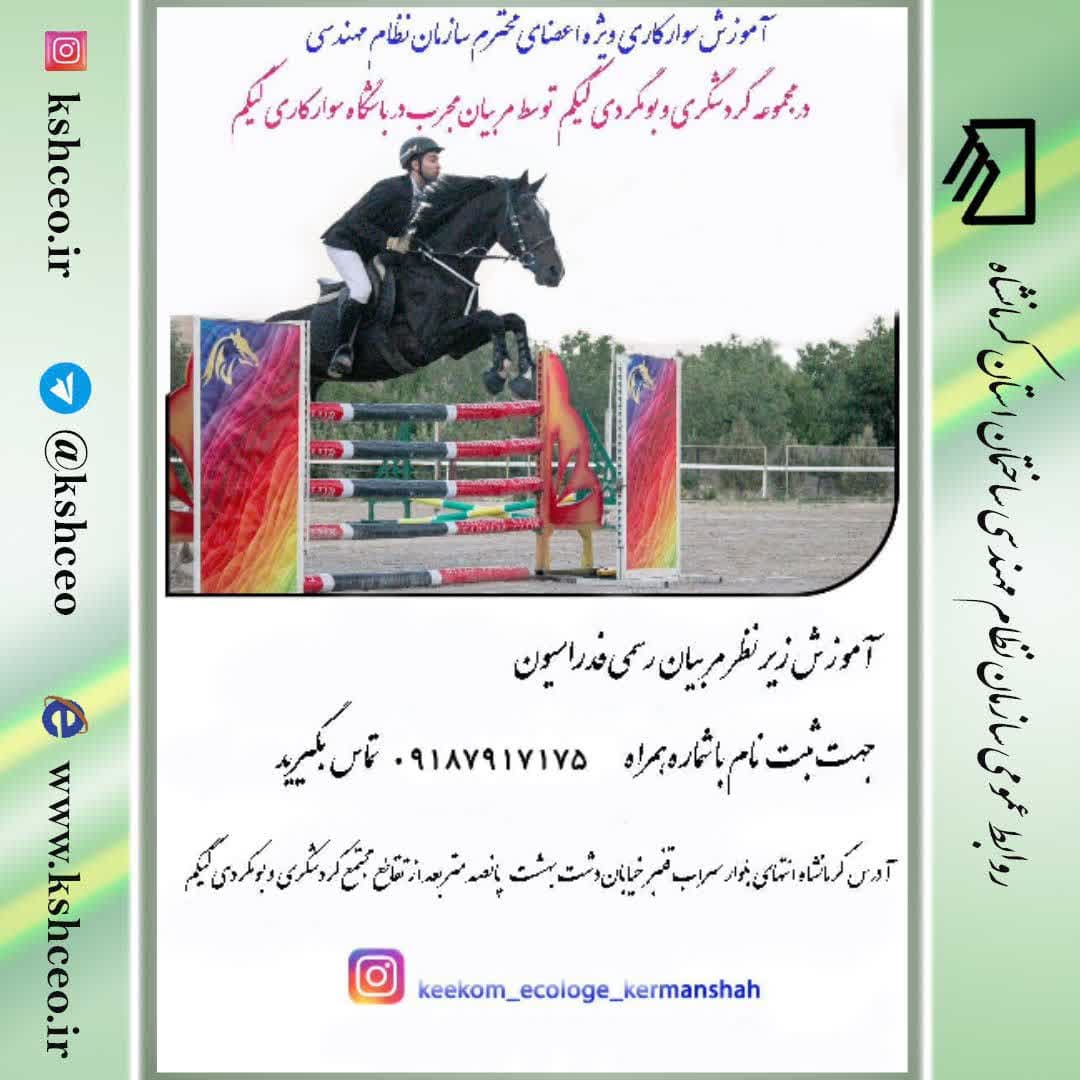 تخفیف آموزش سوارکاری زیر نظر مربیان رسمی فدراسیون سوارکاری برای اعضای سازمان